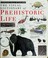 Go to record The visual dictionary of prehistoric life.