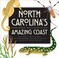 Go to record North Carolina's amazing coast : natural wonders from alli...