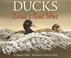 Go to record Ducks don't get wet