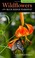 Go to record Wildflowers of the Blue Ridge Parkway : a pocket field guide
