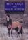 Go to record Mustangs and wild horses