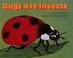 Go to record Bugs are insects