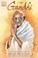 Go to record I am Gandhi : a graphic biography of a hero