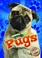 Go to record Pugs