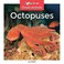 Go to record Octopuses