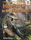 Go to record Dinosaur hunters in the forest
