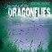 Go to record Journey of the dragonflies