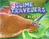 Go to record Slime travelers : slugs