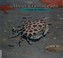 Go to record About crustaceans : a guide for children