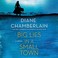 Go to record Big lies in a small town a novel