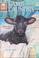 Go to record Lamb in the laundry