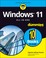 Go to record Windows 11 all-in-one for dummies