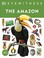Go to record The Amazon