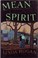 Go to record Mean spirit : a novel