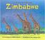 Go to record Count your way through Zimbabwe