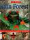 Go to record Rain forest
