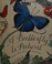 Go to record A butterfly is patient