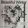 Go to record Beautiful winter