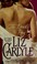 Go to record The devil to pay : devil series, book 4