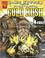 Go to record John Sutter and the California gold rush