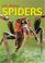 Go to record Nic Bishop spiders