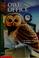 Go to record Owl in the office
