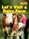 Go to record Let's visit a dairy farm