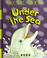 Go to record Under the sea