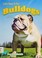 Go to record Let's hear it for bulldogs