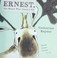 Go to record Ernest, the moose who doesn't fit