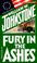 Go to record Fury in the ashes : the ashes, book 13