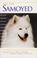 Go to record The new Samoyed