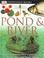 Go to record Pond & river