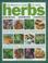 Go to record The practical guide to using herbs :  knowing, growing, co...