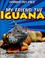 Go to record My friend the iguana