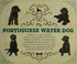 Go to record Proud Portuguese water dogs