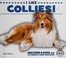 Go to record I like collies!