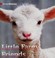 Go to record Little farm friends