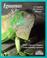 Go to record Iguanas : everything about selection, care, nutrition, dis...