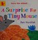 Go to record A surprise for Tiny Mouse