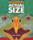Go to record Prehistoric actual size