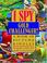 Go to record I spy gold challenger! : a book of picture riddles