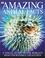 Go to record Amazing animal facts