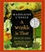 Go to record A wrinkle in time