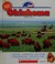 Go to record Oklahoma