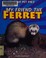 Go to record My friend the ferret