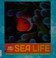 Go to record Sea life : a close-up photographic look inside your world