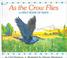Go to record As the crow flies : a first book of maps