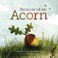 Go to record Because of an acorn